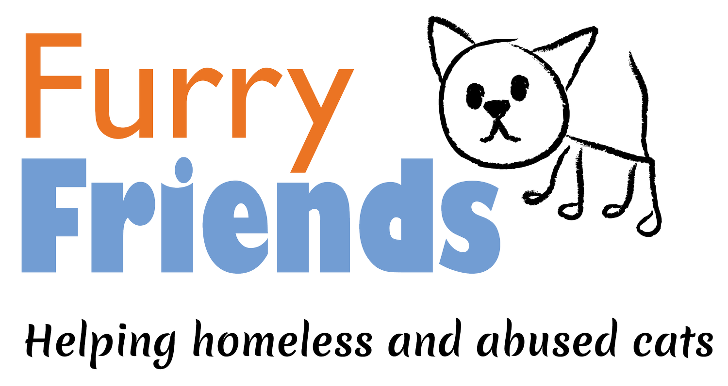 Foster | Become a Fostering Hero — Furry Friends